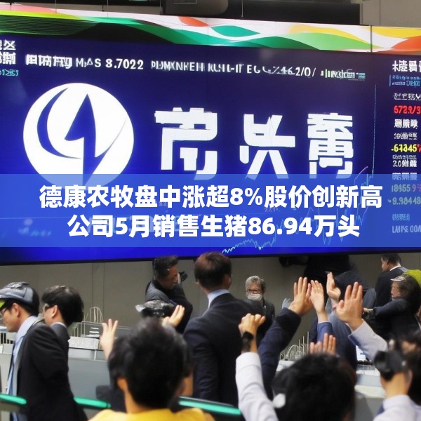 2025年6月10日 第6页