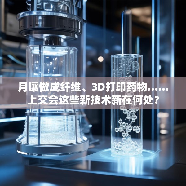 2025年6月11日 第2页